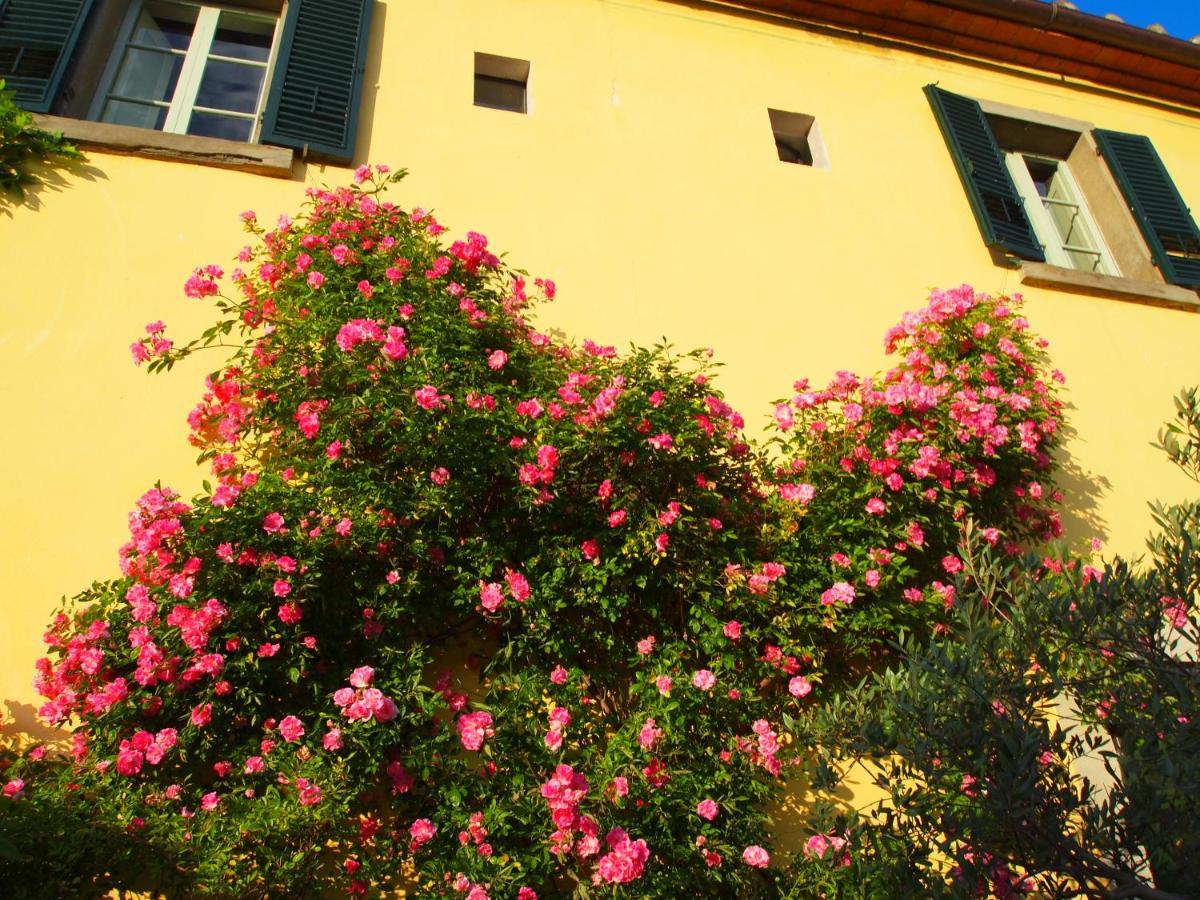 Gasthaus Il Sole Del Sodo Cortona Exterior foto