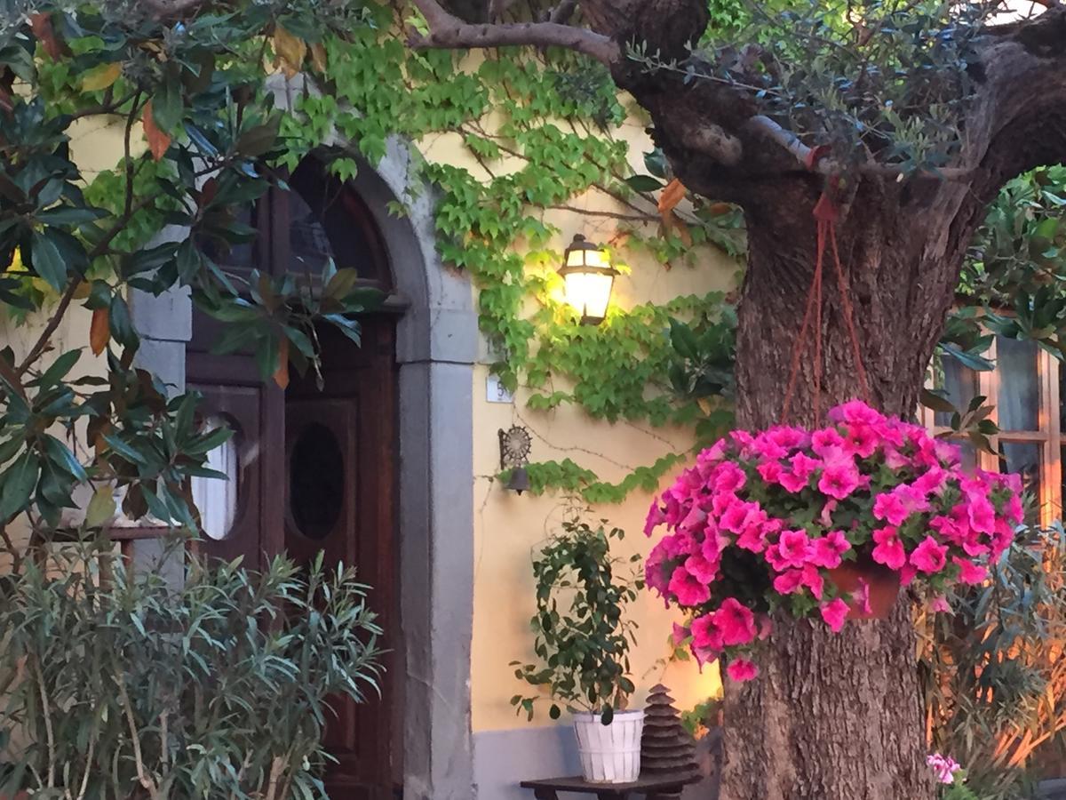 Gasthaus Il Sole Del Sodo Cortona Exterior foto