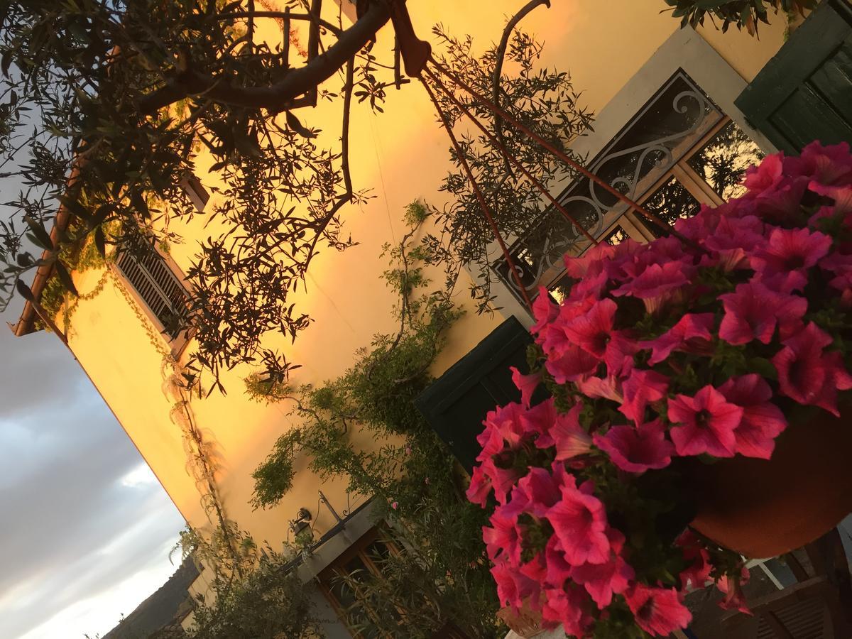 Gasthaus Il Sole Del Sodo Cortona Exterior foto