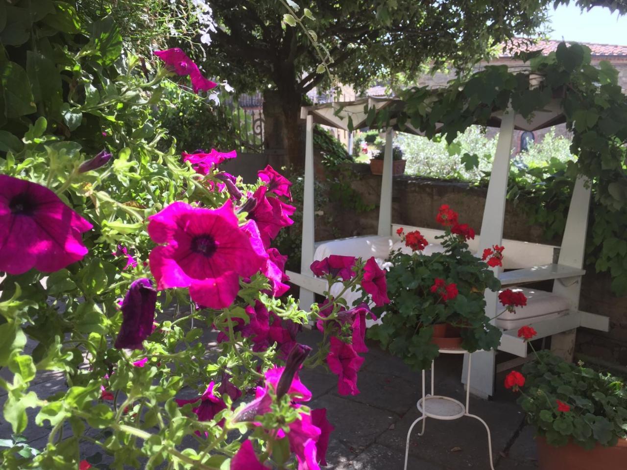 Gasthaus Il Sole Del Sodo Cortona Exterior foto